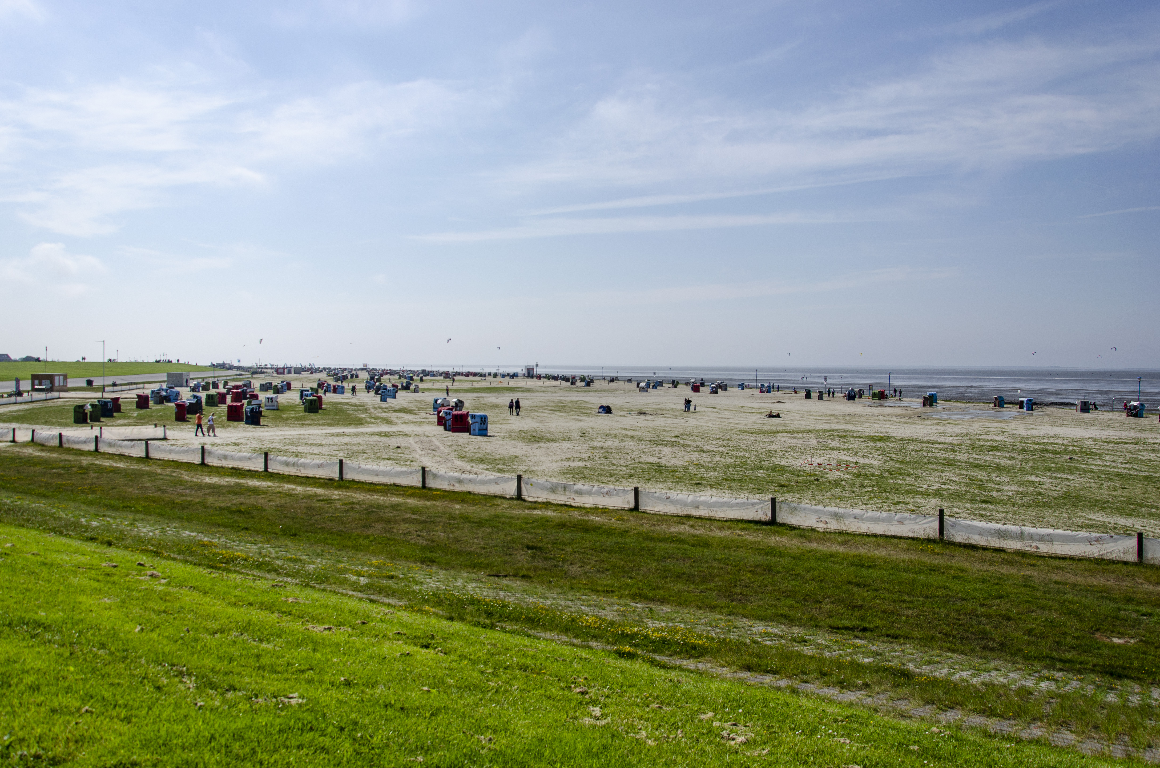 Friesland 2024 co becrima 